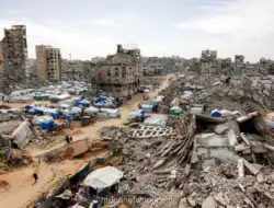 Di Tengah Perang dan Blokade, Lulusan Gaza Berjuang Melawan Pengangguran