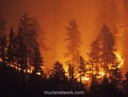 Kebakaran Hutan Landa Prancis Barat Daya, Hampir 3.000 Orang Dievakuasi