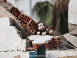Gempa Kembar Guncang Peru, Enam Tewas dan Puluhan Terluka