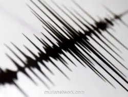 Gempa 7,3 Magnitudo Guncang Meksiko Selatan, Picu Peringatan Tsunami