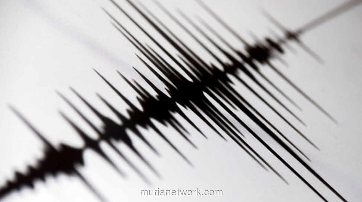 Gempa 7,3 Magnitudo Guncang Meksiko Selatan, Picu Peringatan Tsunami