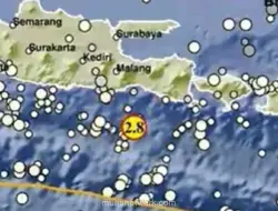 Gempa Magnitudo 2,8 Guncang Lumajang, Pusat di Laut