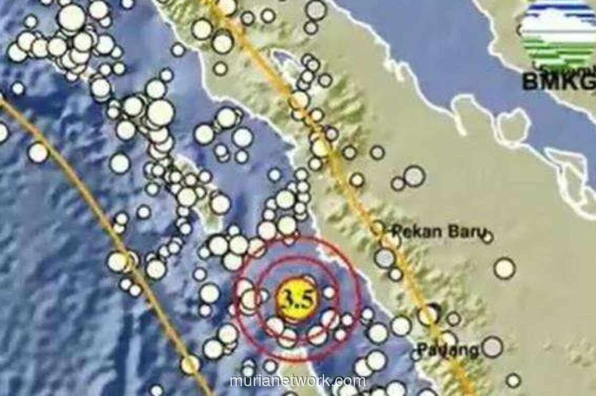 Gempa Magnitudo 3,5 Guncang Pasaman Barat, Tak Berpotensi Tsunami