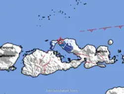 Gempa M3,9 Guncang Sumbawa, Getaran Terasa di Bima dan Dompu
