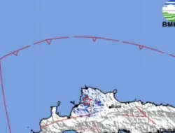 Gempa Magnitudo 3,8 Guncang Toli-Toli, Getaran Terasa Cukup Kuat