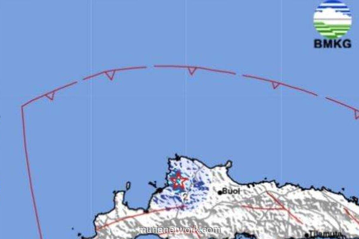 Gempa Magnitudo 3,8 Guncang Toli-Toli, Getaran Terasa Cukup Kuat