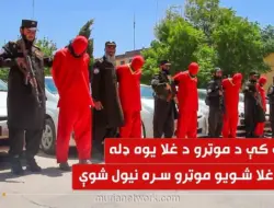 Polisi Afghanistan Tangkap Komplotan Pencuri Mobil, Amankan 24 Kendaraan
