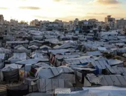 Genosida di Gaza Dorong Gelombang Mualaf Baru dari Kalangan Milenial dan Gen-Z