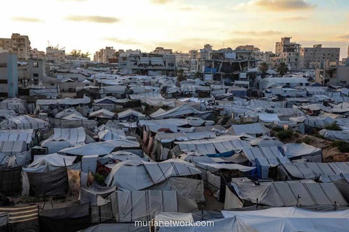 Genosida di Gaza Dorong Gelombang Mualaf Baru dari Kalangan Milenial dan Gen-Z