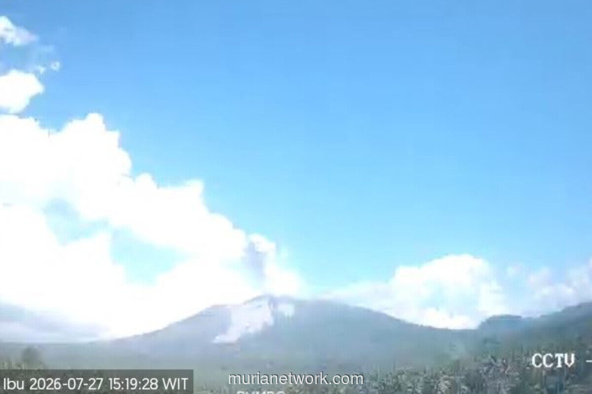 Gunung Ibu Erupsi, Kolom Abu Capai 600 Meter di Atas Puncak