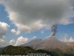 Gunung Lewotobi Laki-laki Erupsi, Kolom Abu Capai 1.000 Meter