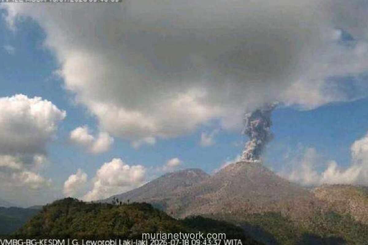 Gunung Lewotobi Laki-laki Erupsi, Kolom Abu Capai 1.000 Meter
