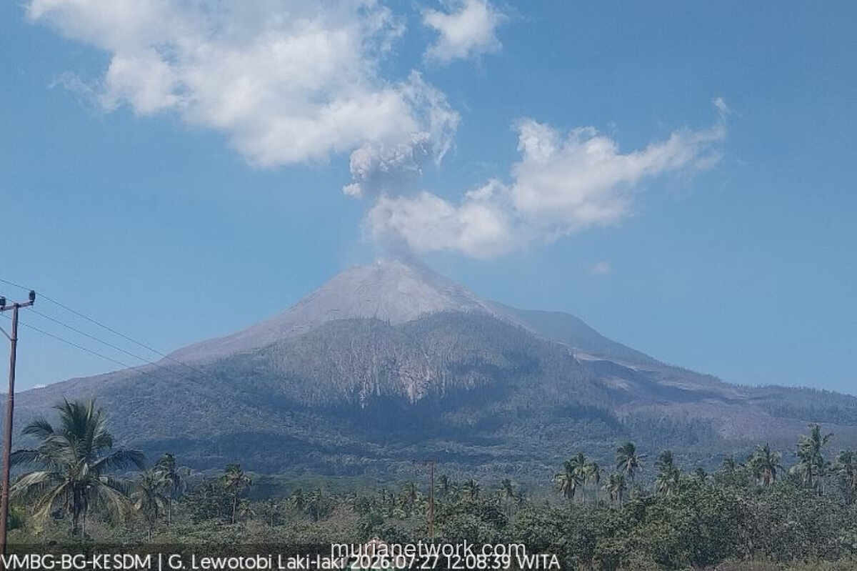 Gunung Lewotobi Laki-laki Erupsi, Kolom Abu Membubung 600 Meter