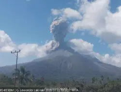 Gunung Lewotobi Laki-Laki Erupsi, Kolom Abu Membubung 1.200 Meter