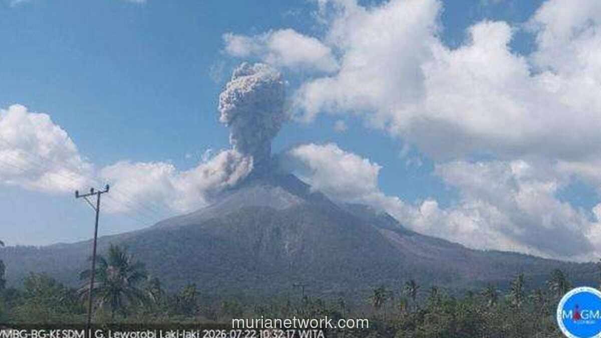 Gunung Lewotobi Laki-laki Erupsi Lagi, Kolom Abu Capai 1.200 Meter