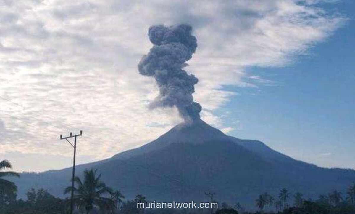 Gunung Lewotobi Laki-Laki Erupsi, Kolom Abu Capai 1.600 Meter