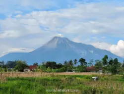 Merapi Luncurkan Awan Panas dan 21 Kali Guguran Lava dalam Sehari