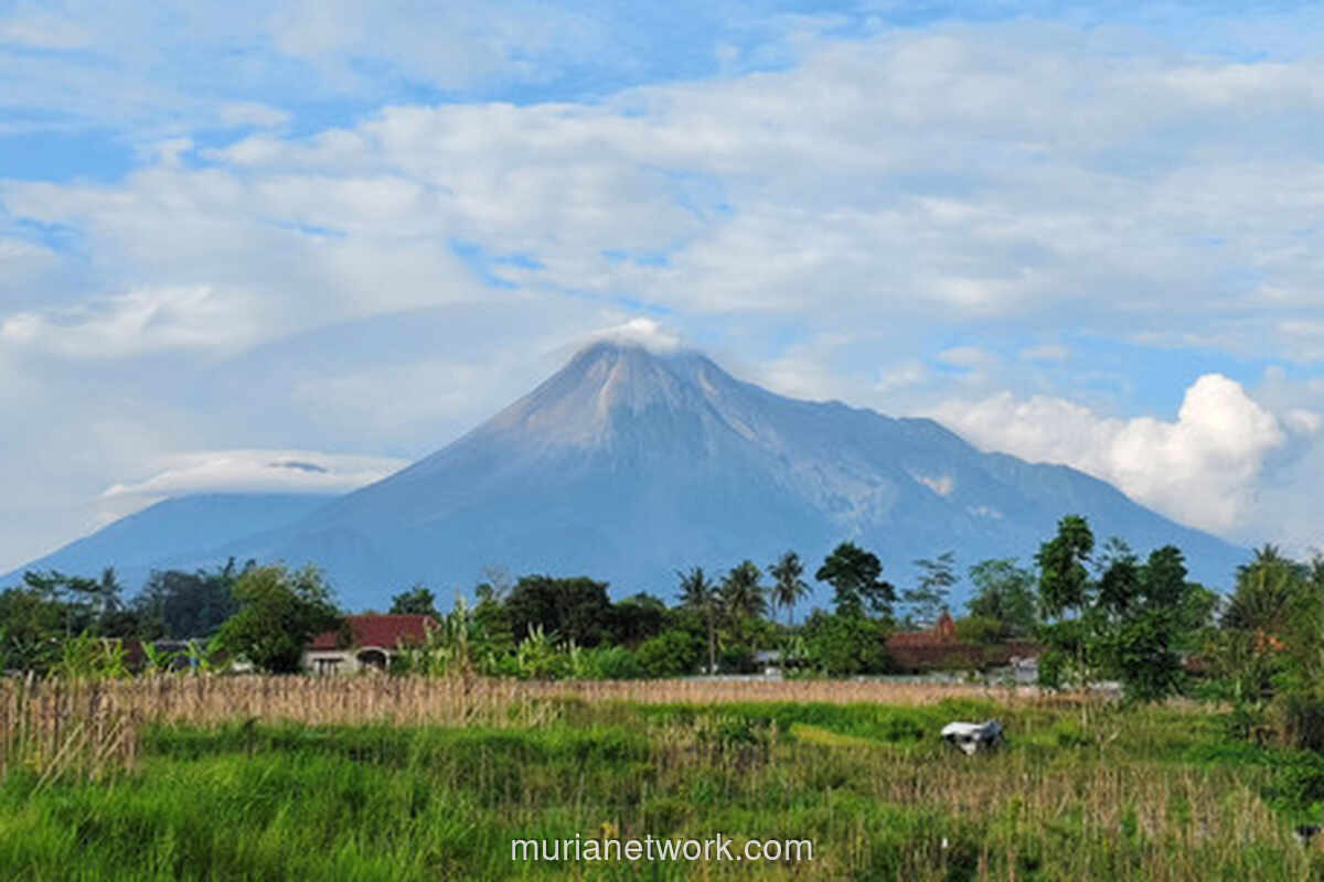 Merapi Luncurkan Awan Panas dan 21 Kali Guguran Lava dalam Sehari