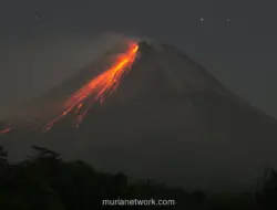 Gunung Merapi Kembali Luncurkan Awan Panas, Status Siaga