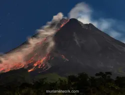 Awan Panas Guguran Gunung Merapi Luncur Sejauh 2 Kilometer