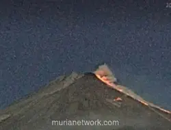 Gunung Merapi Luncurkan Awan Panas Sejauh 1,7 Kilometer