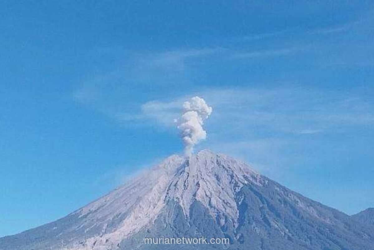 Gunung Semeru Erupsi, Kolom Abu Vulkanik Capai 1 Kilometer