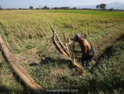 Hadapi Musim Kemarau, Pemprov Jabar Siapkan Langkah Antisipasi Kekeringan