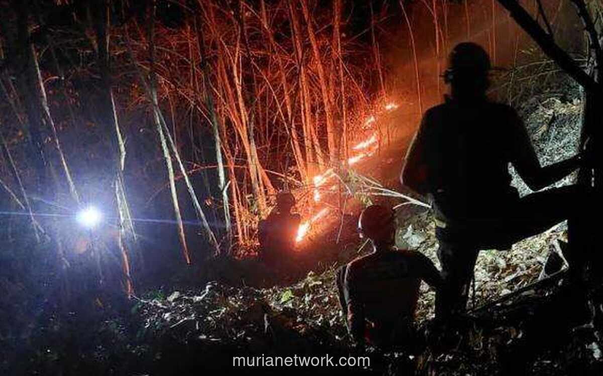 Pemerintah Evaluasi Standar Personel dan Peralatan Manggala Agni untuk Hadapi Karhutla