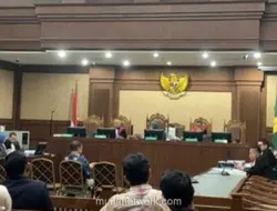 Hakim Miris dengan Pengakuan Konsultan yang Jadi Perantara Suap Hery Susanto