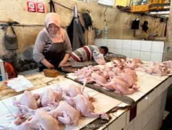 Harga Daging Ayam dan Telur Naik, Cabai Justru Turun