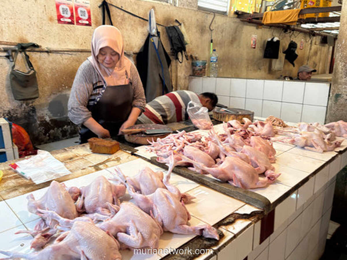Harga Daging Ayam dan Telur Naik, Cabai Justru Turun