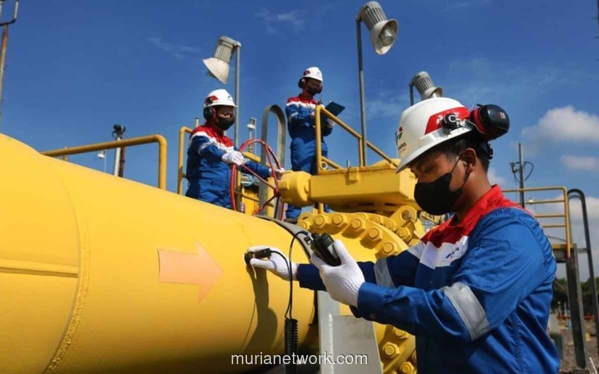 Penurunan Harga LNG Industri Belum Berdampak Signifikan ke Kinerja PGN