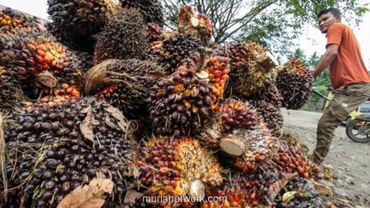 Harga Komoditas Bervariasi: CPO Melemah, Batu Bara dan Nikel Menguat