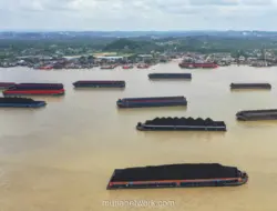 Harga Komoditas Bervariasi: Minyak Turun, Batu Bara dan Timah Menguat