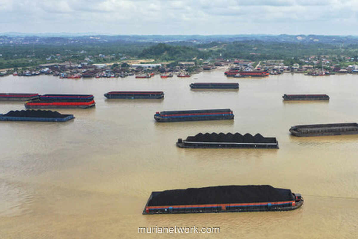 Harga Komoditas Bervariasi: Minyak Turun, Batu Bara dan Timah Menguat