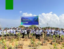 PNM Tanam 22.000 Pohon Mangrove Serentak di 18 Titik Pesisir