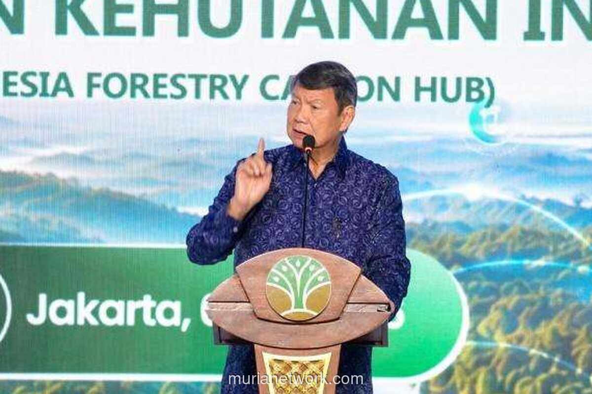 Hashim Akui Banyak Program Pemerintah Terkendala Implementasi