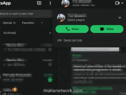WhatsApp Luncurkan Fitur Panggilan Web dan Transfer Panggilan