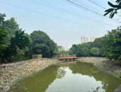 Hutan Kota Jakarta Masih Jauh dari Target, Akses Warga Kumuh Minim