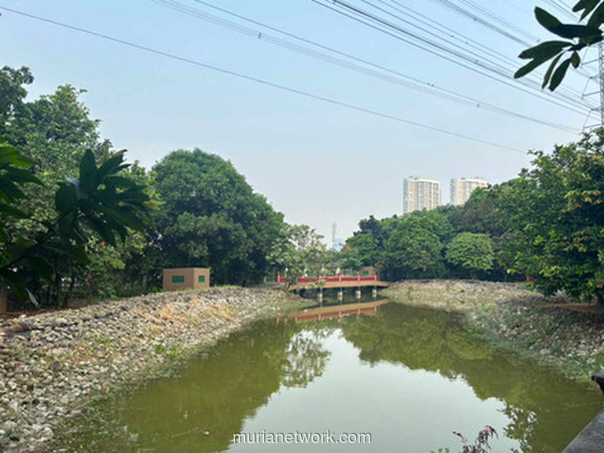 Hutan Kota Jakarta Masih Jauh dari Target, Akses Warga Kumuh Minim