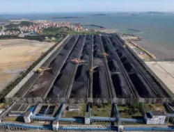 BRI Danareksa Unggulkan Enam Saham Komoditas Tambang untuk 2026