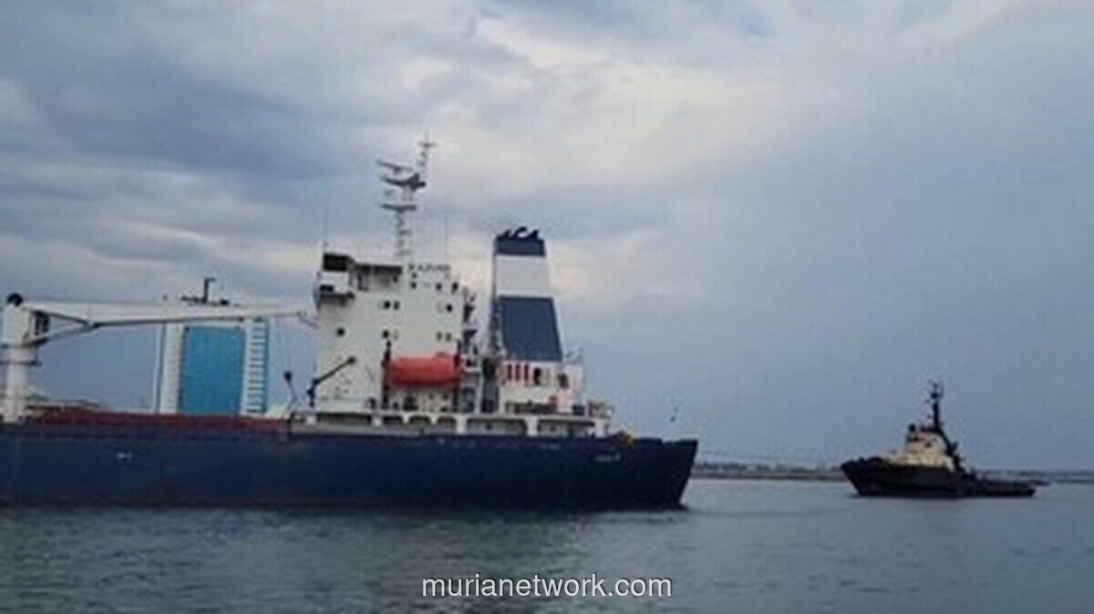 India Kecam Serangan di Laut Hitam, Empat Awak Kapal WNI Tewas