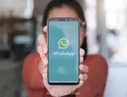 India Minta WhatsApp Tunda Fitur Username, Khawatir Picu Gelombang Penipuan Baru