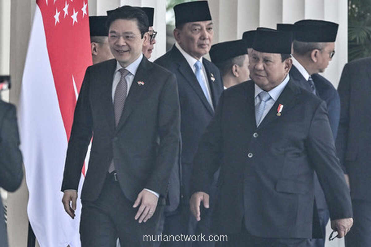 Indonesia Matangkan Rencana Ekspor Listrik Hijau ke Singapura, Danantara Gandeng Perusahaan Energi Negeri Jiran