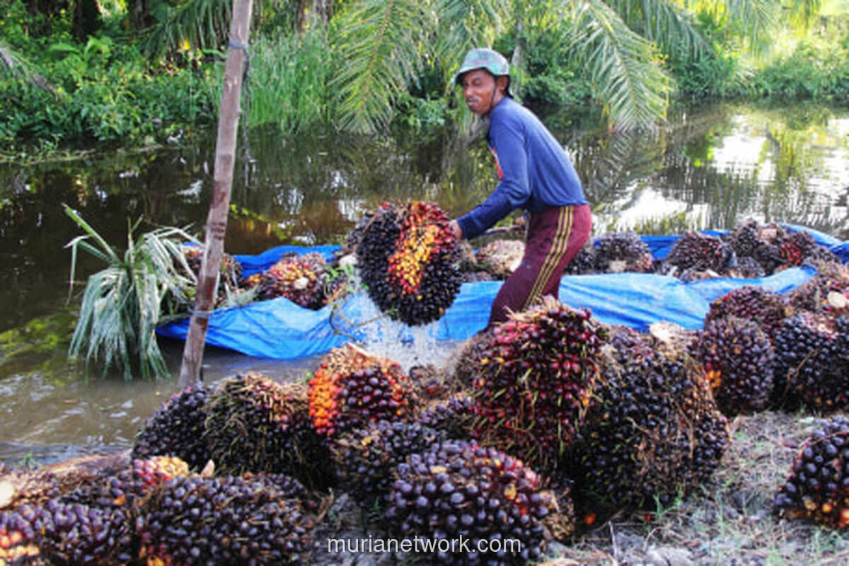 Pertamina Kembangkan Bioetanol dari Tandan Kosong Sawit dan Perluas Biodiesel B50