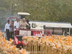 Presiden Prabowo Hadiri Panen Raya TNI untuk Dorong Ketahanan Pangan