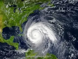 Topan Bavi Mendekati Jepang, Warga Siaga Hadapi Badai Terkuat dalam Beberapa Tahun