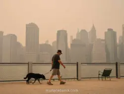 Kabut Asap Kebakaran Hutan Kanada Selimuti AS, Chicago dan Detroit Catat Polusi Udara Terburuk di Dunia