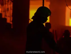 Kafe di Ciracas Jakarta Timur Ludes Terbakar, 30 Personel Damkar Dikerahkan
