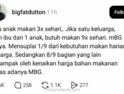 Program Makan Bergizi Gratis Dinilai Tak Efisien, Hanya Penuhi Sebagian Kecil Kebutuhan Keluarga